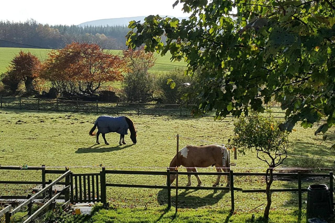 Stuc An T Sagairt Cottage , Loch Lomond Drymen Zewnętrze zdjęcie